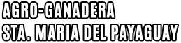 Logo Payaguay